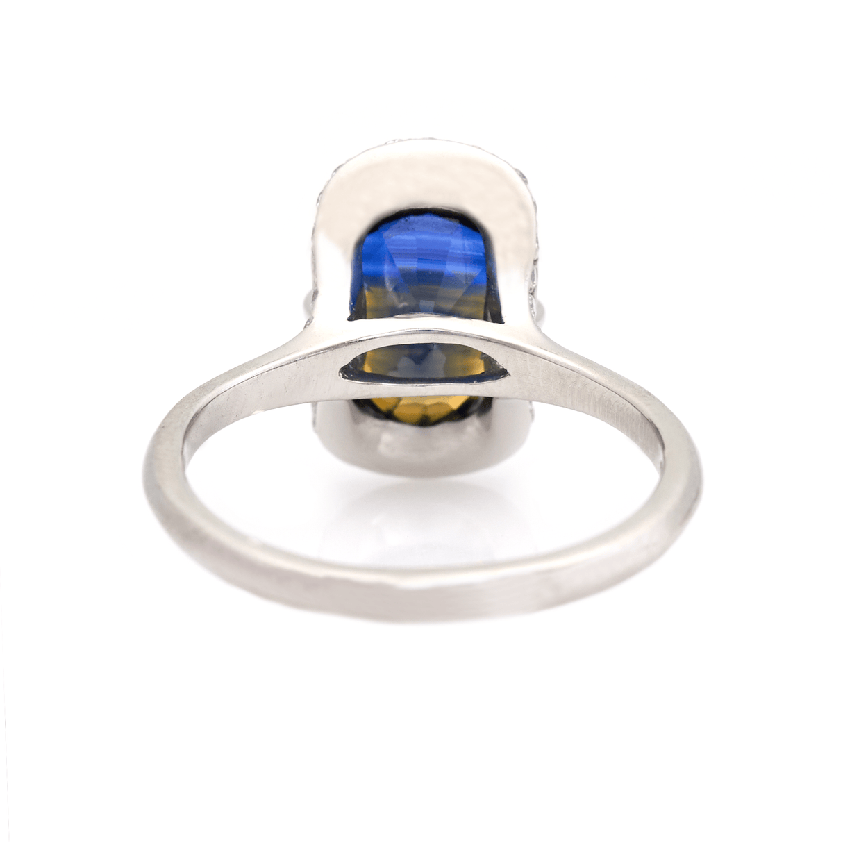 Ceylon Color Change Sapphire Aurora Ring platinum engagement ring back view