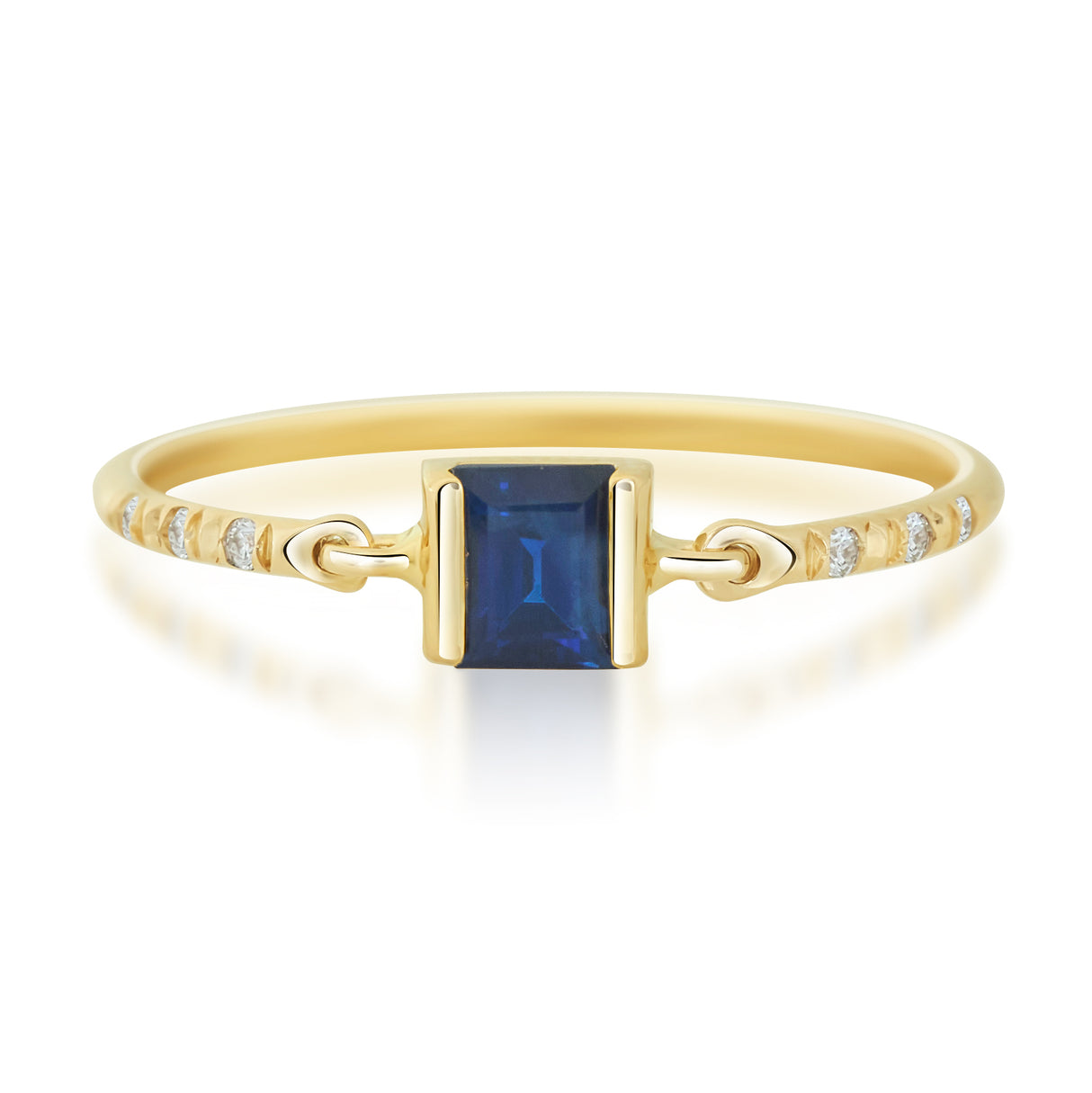 Ceylon Sapphire Petite Circle Diamond Ring
