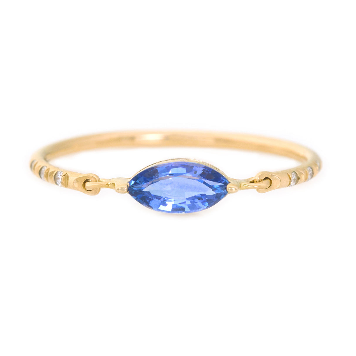 Ceylon Sapphire Marquise Petite Circle Diamond Ring