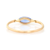 Ceylon Sapphire Marquise Petite Circle Diamond Ring back