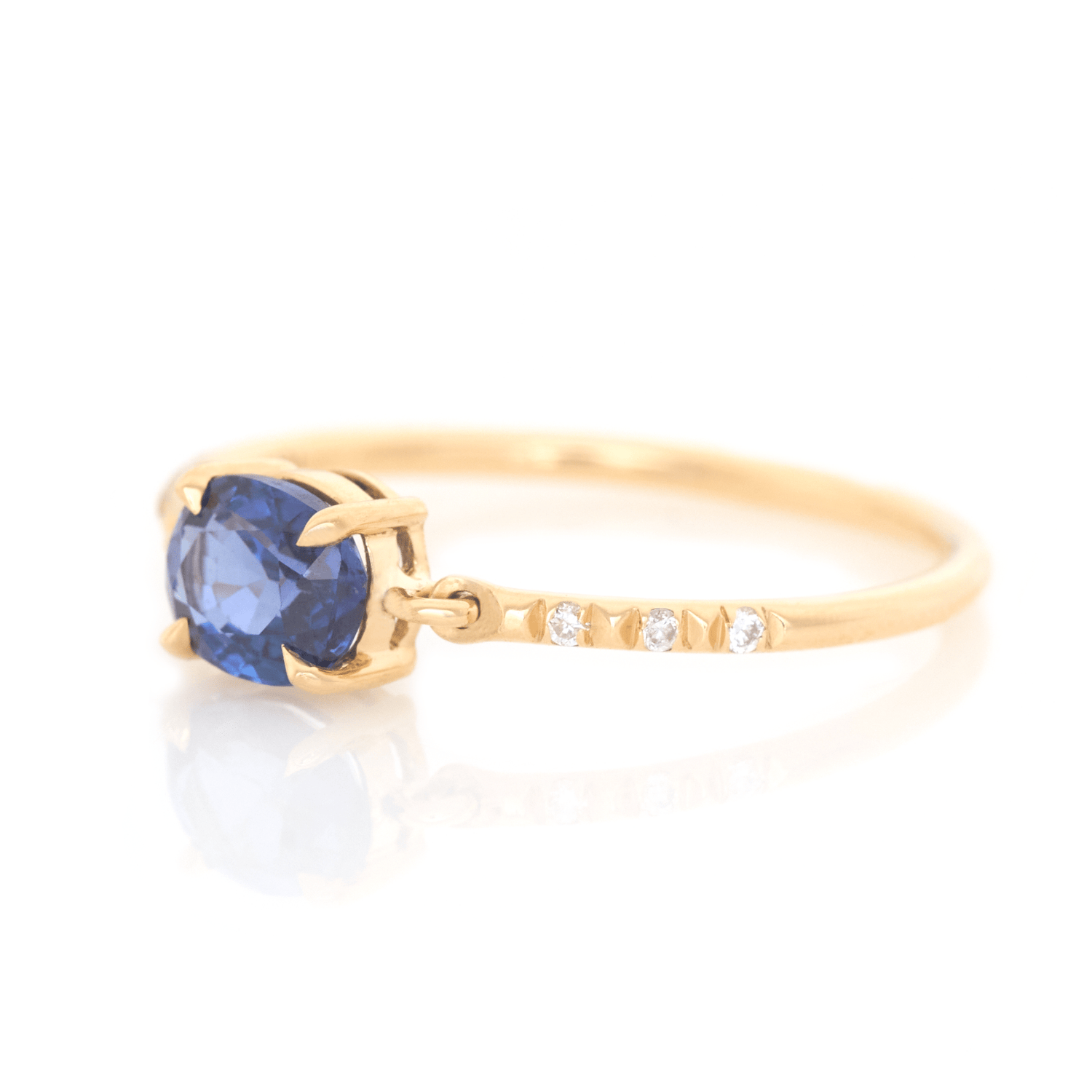 Ceylon Sapphire Petite Circle Diamond Ring