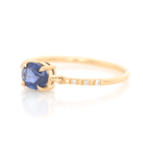 Ceylon Sapphire Petite Circle Diamond Ring