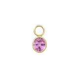 Pink Sapphire Hoop Charm
