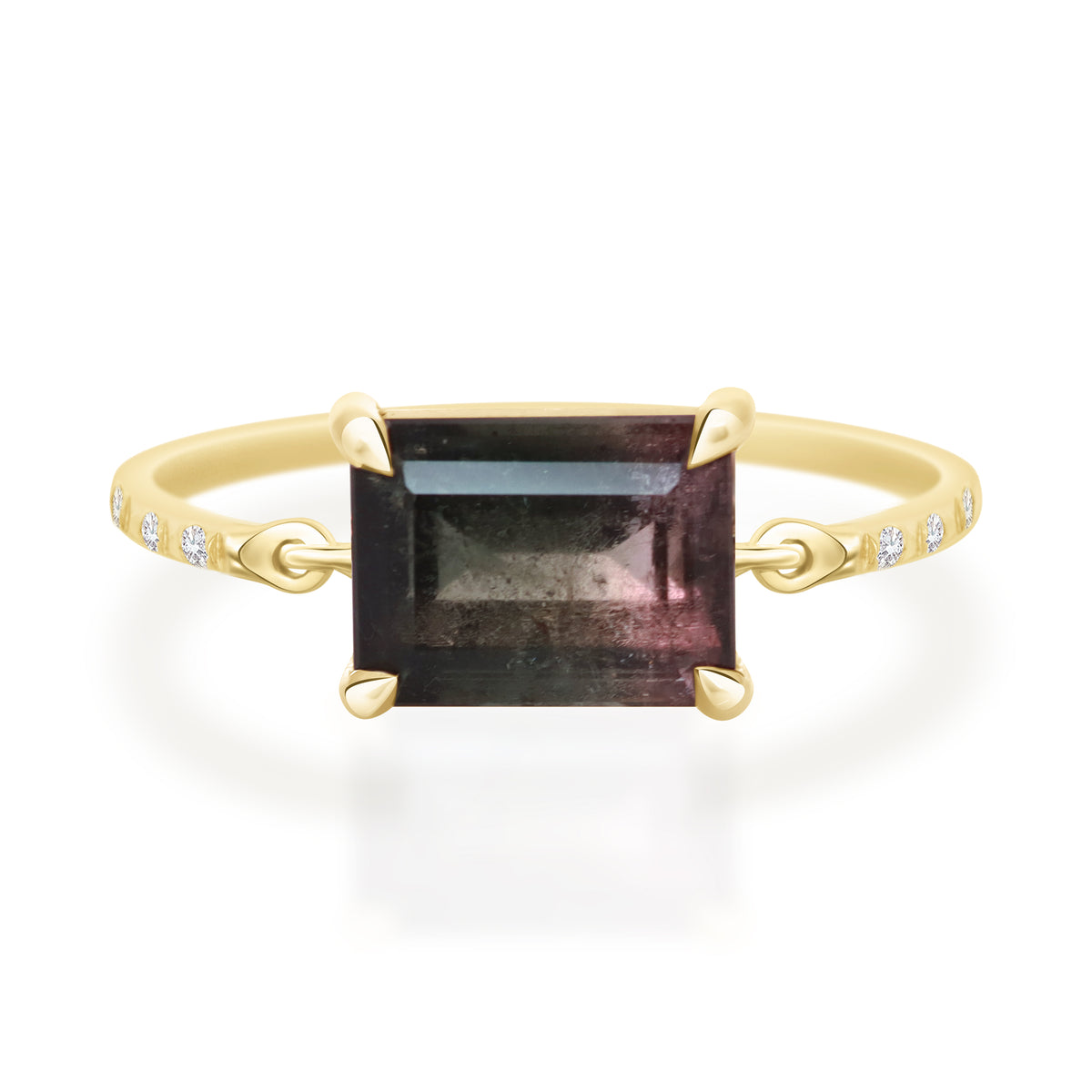 Raven_Watermelon_Tourmaline_Petite_Circle_Diamond_Ring_YG14K_Engagement_Ring