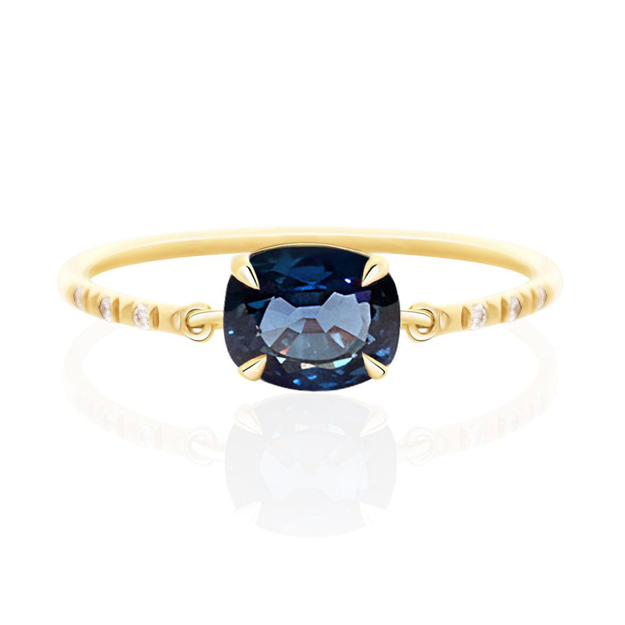 Ceylon Sapphire Petite Circle Diamond Ring