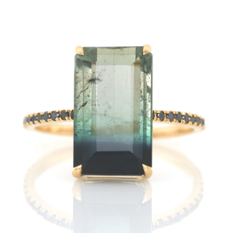 Watermelon Tourmaline Bar Protection Ring 18k gold engagement ring