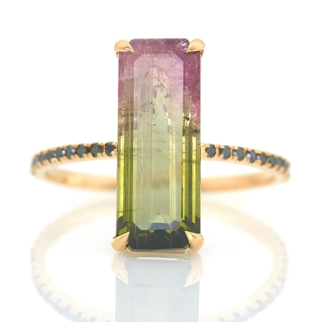 Watermelon Tourmaline Bar Protection Ring 18k gold engagement ring