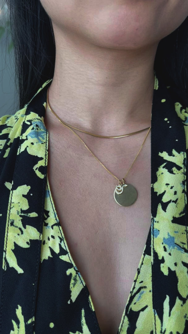 Zodiac Snake Pendant Necklace